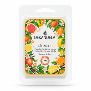 Cubos de cera aroma Durazno